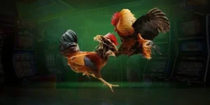 Đá Gà Mb66: Cùng Theo Dõi Và Cá Cược Đá Gà Trực Tuyến